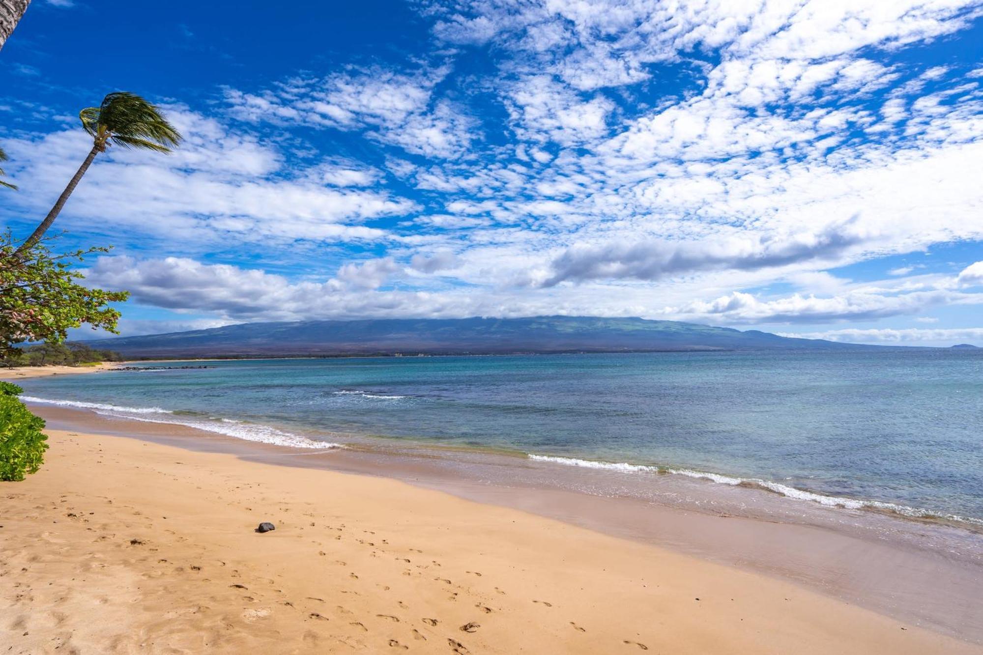 فيلا New Oceanfront Penthouse At Maalaea In South Maui Wailuku المظهر الخارجي الصورة
